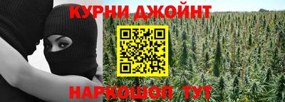 прущие грибы Гусев