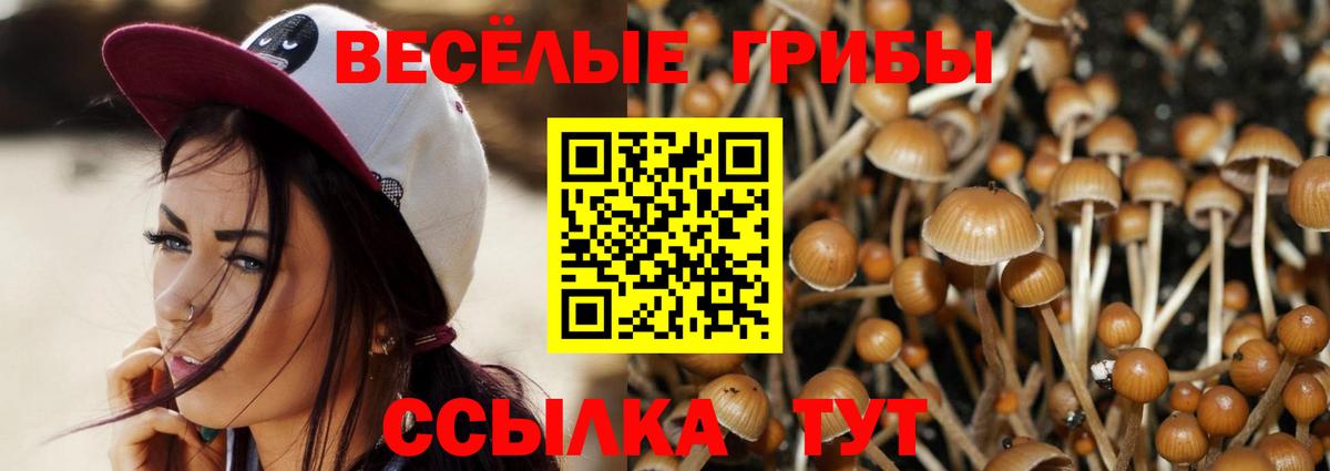 Галлюциногенные грибы Magic Shrooms Назарово